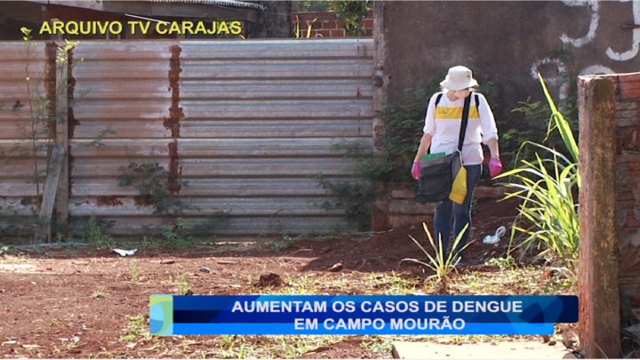 AUMENTAM OS CASOS DE DENGUE EM CAMPO MOURÃO