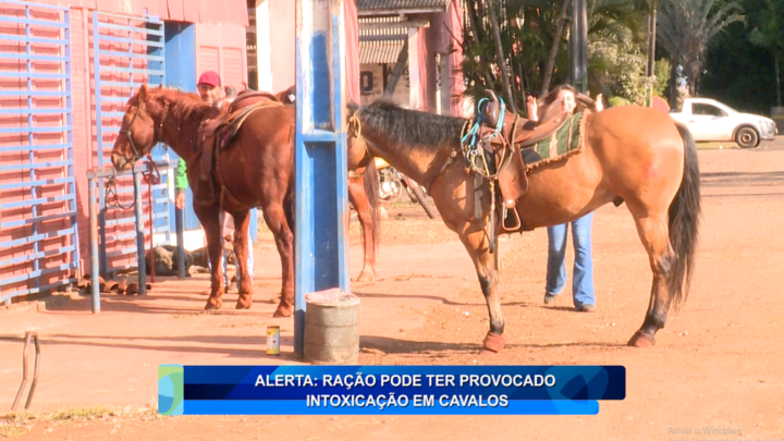 ALERTA: RAÇÃO PODE TER PROVOCADO INTOXICAÇÃO EM CAVALOS