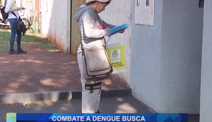 COMBATE À DENGUE BUSCA ESTABILIDADE EM CAMPO MOURÃO