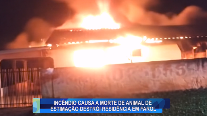 INCÊNDIO CAUSA A MORTE DE ANIMAL DE ESTIMAÇÃO DESTRÓI RESIDÊNCIA EM FAROL