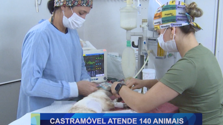 CASTRAMÓVEL ATENDE 140 ANIMAIS