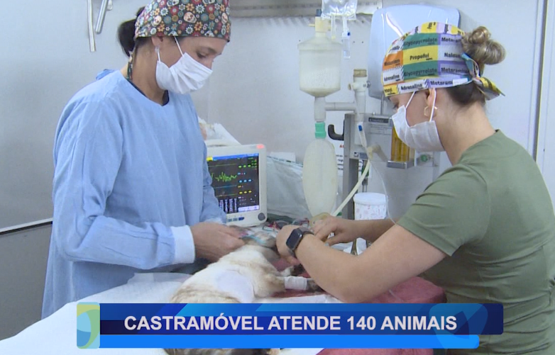 CASTRAMÓVEL ATENDE 140 ANIMAIS