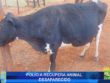 POLÍCIA RECUPERA ANIMAL DESAPARECIDO