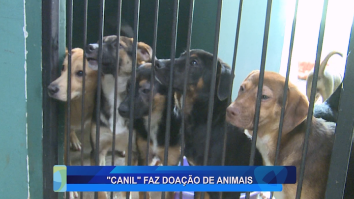 “CANIL” FAZ DOAÇÃO DE ANIMAIS