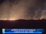 INCÊNDIO EM VEGETAÇÃO MOBILIZA BOMBEIROS NO ANEL VIÁRIO