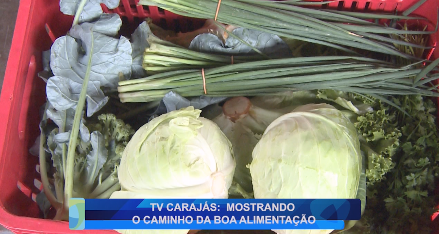 TV CARAJÁS: MOSTRANDO O CAMINHO DA BOA ALIMENTAÇÃO