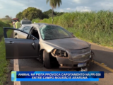 ANIMAL NA PISTA PROVOCA CAPOTAMENTO NA PR-558 ENTRE CAMPO MOURÃO E ARARUNA
