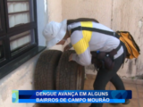 DENGUE AVANÇA EM ALGUNS BAIRROS DE CAMPO MOURÃO
