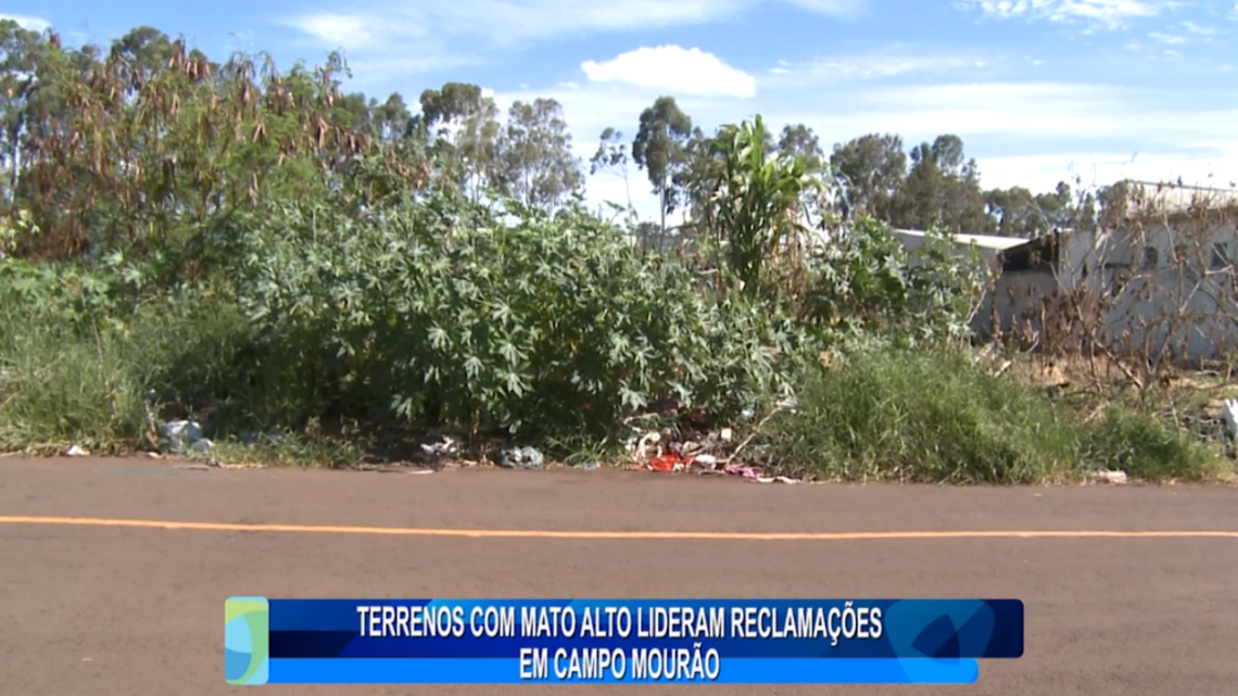 TERRENOS COM MATO ALTO LIDERAM RECLAMAÇÕES EM CAMPO MOURÃO