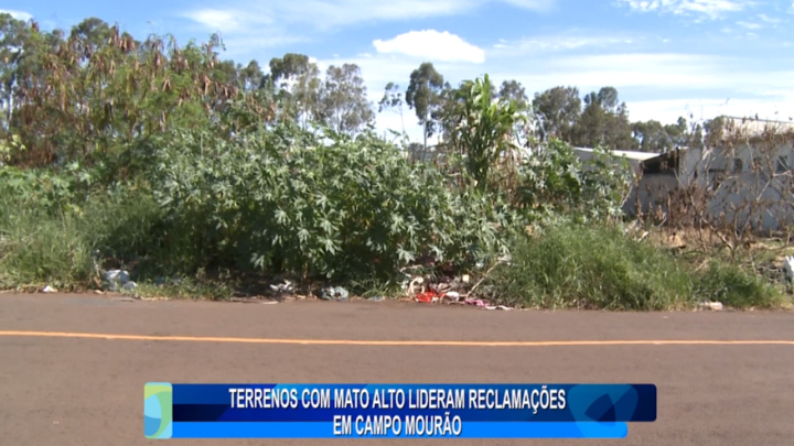 TERRENOS COM MATO ALTO LIDERAM RECLAMAÇÕES EM CAMPO MOURÃO