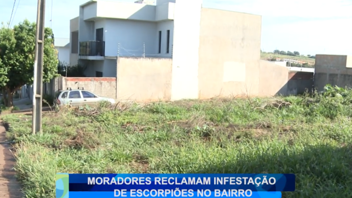 MORADORES RECLAMAM INFESTAÇÃO DE ESCORPIÕES NO BAIRRO