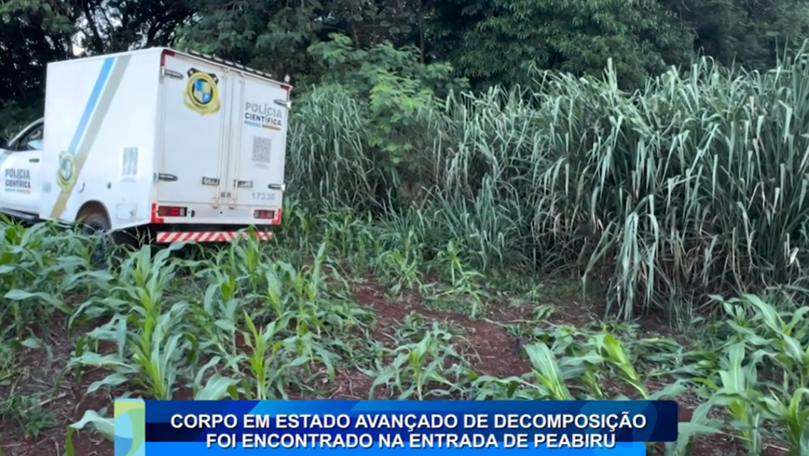 CORPO EM ESTADO AVANÇADO DE DECOMPOSIÇÃO FOI ENCONTRADO EM PEABIRU