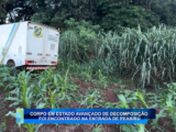 CORPO EM ESTADO AVANÇADO DE DECOMPOSIÇÃO FOI ENCONTRADO EM PEABIRU