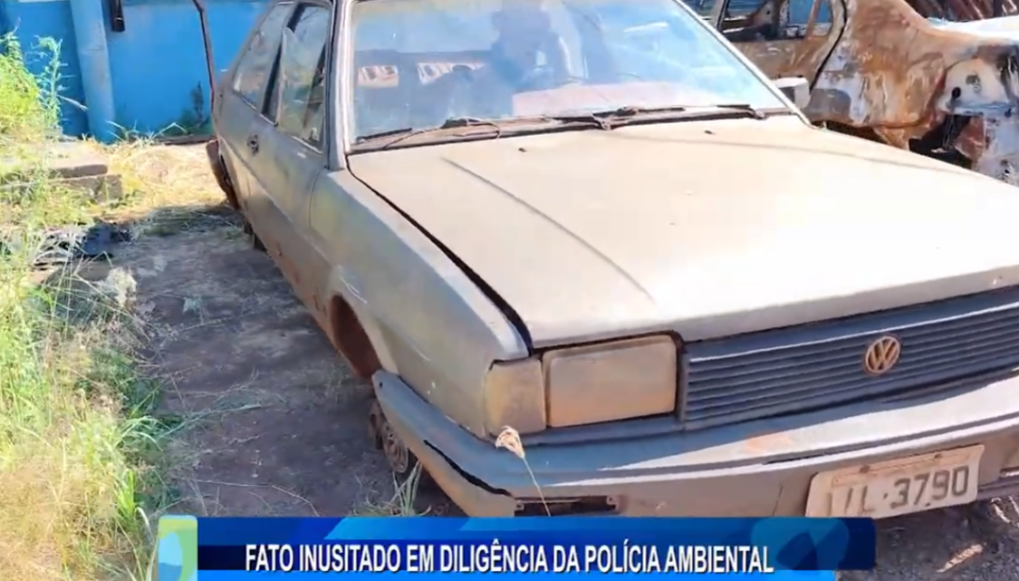 FATO INUSITADO EM DILIGÊNCIA DA POLÍCIA AMBIENTAL