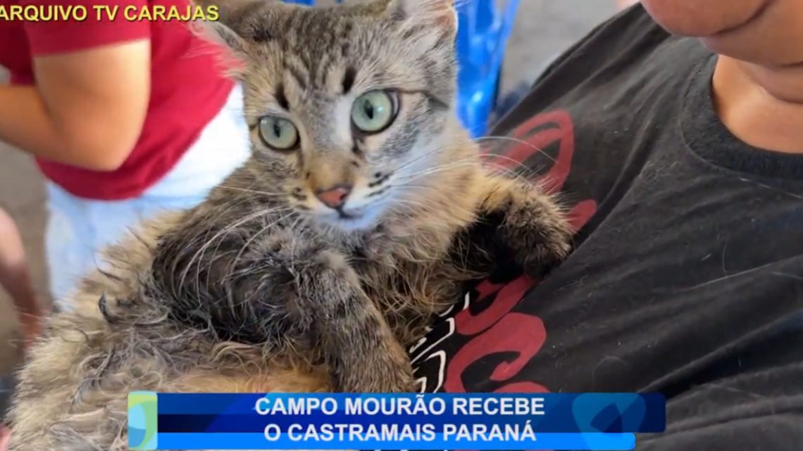 CAMPO MOURÃO RECEBE O CASTRAMAIS PARANÁ