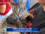 CAMPO MOURÃO RECEBE O CASTRAMAIS PARANÁ