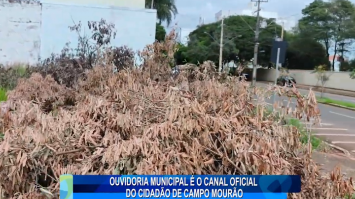 OUVIDORIA MUNICIPAL É O CANAL OFICIAL DO CIDADÃO DE CAMPO MOURÃO