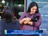 CASTRAMAIS PARANÁ FAZ UM GRANDE NÚMERO DE ATENDIMENTOS
