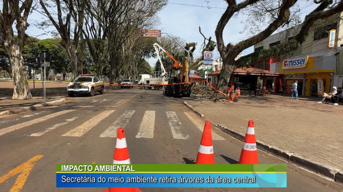IMPACTO AMBIENTAL: SECRETÁRIA DO MEIO AMBIENTE RETIRA ÁRVORES DA ÁREA CENTRAL