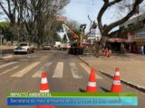 IMPACTO AMBIENTAL: SECRETÁRIA DO MEIO AMBIENTE RETIRA ÁRVORES DA ÁREA CENTRAL
