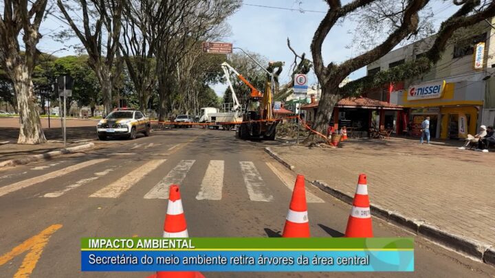 IMPACTO AMBIENTAL: SECRETÁRIA DO MEIO AMBIENTE RETIRA ÁRVORES DA ÁREA CENTRAL