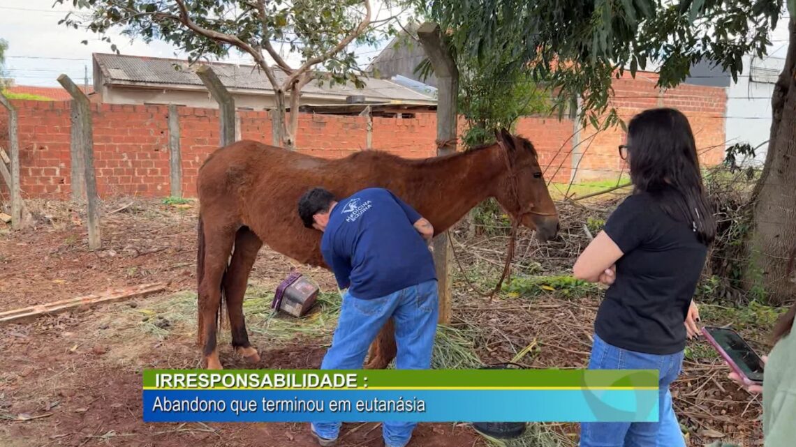 Irresponsabilidade, abandono que terminou na eutanásia