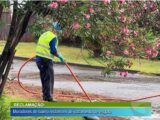 RECLAMAÇÃO: MORADORES DE BAIRRO RECLAMAÇÃO DE VAZAMENTO DE ESGOTO