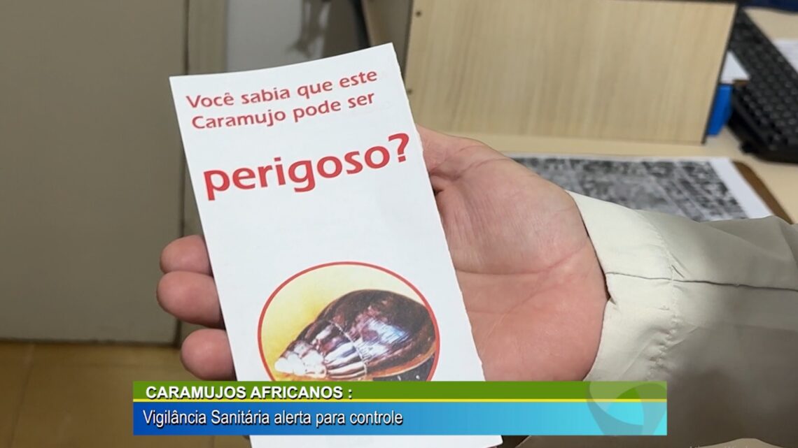 CARAMUJOS AFRICANOS: VIGILÂNCIA SANITÁRIA ALERTA PARA CONTROLE