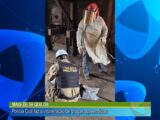 Mais de 50 quilos polícia Civil faz a incineração de drogas apreendidas