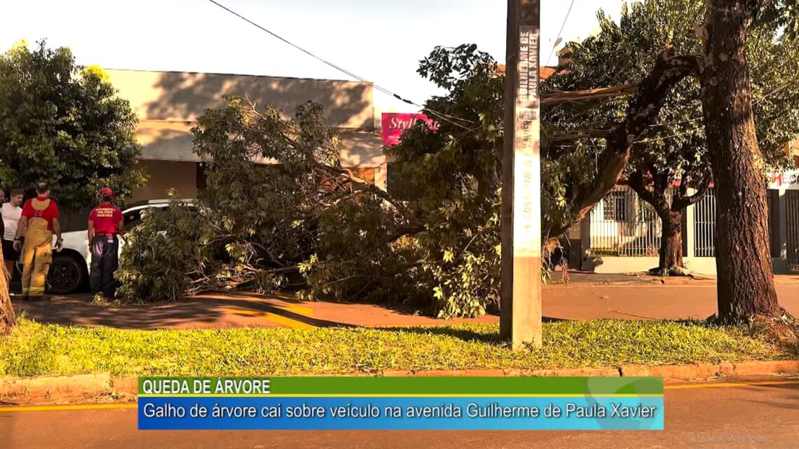 Galho de árvore cai sobre veículo na avenida Guilherme de Paula Xavier