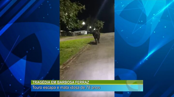 TRAGÉDIA EM BARBOSA FERRAZ: TOURO ESCAPA E MATA IDOSA DE 78 ANOS