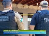 Polícia e bandido, troca de tiros e Peabiru