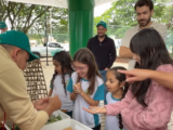 Sustentabilidade: 5ª edição da feira Caminhos da Produção Orgânica.